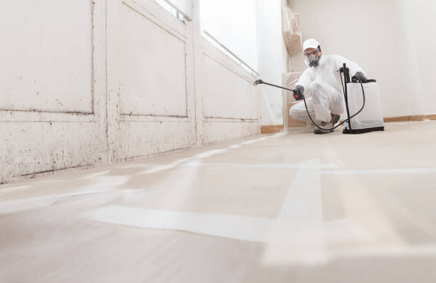 24/7 Emergency Mold Testing experts in Wernersville, PA